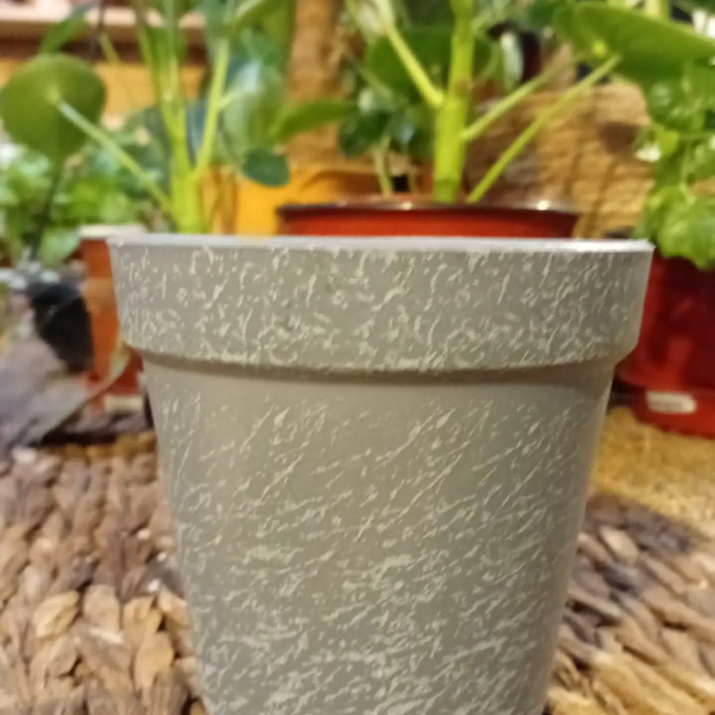 Plantas RV - Macetero conico 11*10 cm color piedra  1