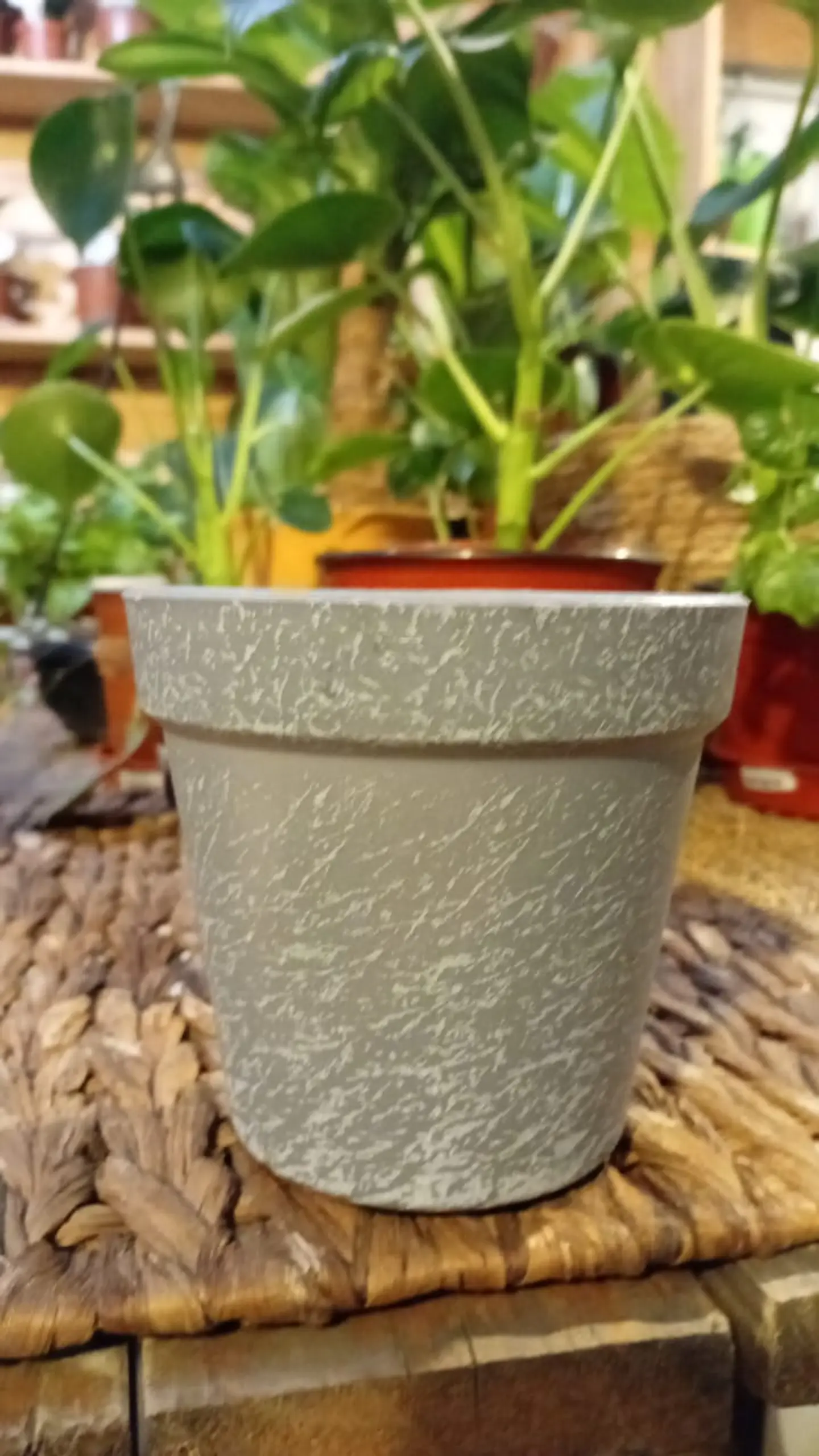 Plantas RV - Macetero conico 11*10 cm color piedra  1