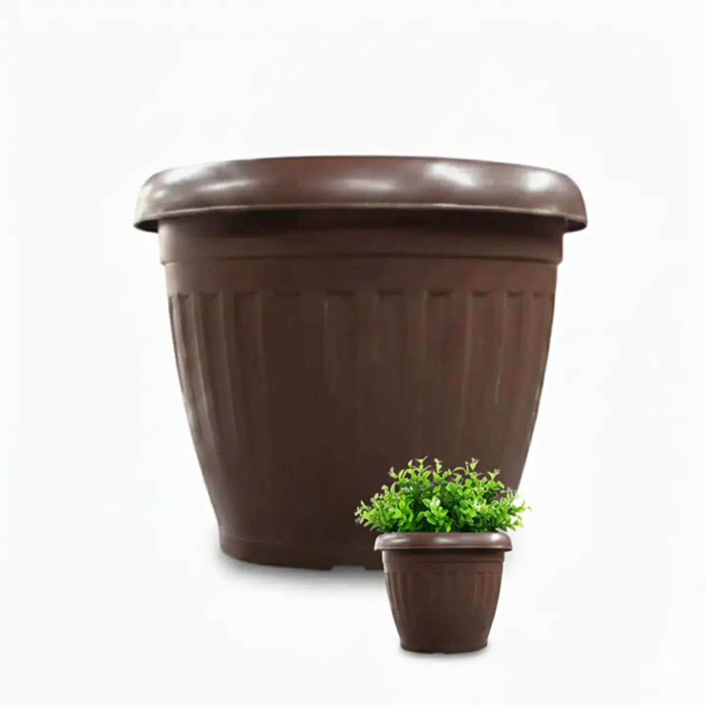 Plantas RV - Macetero Cafe 55*42 cm  1