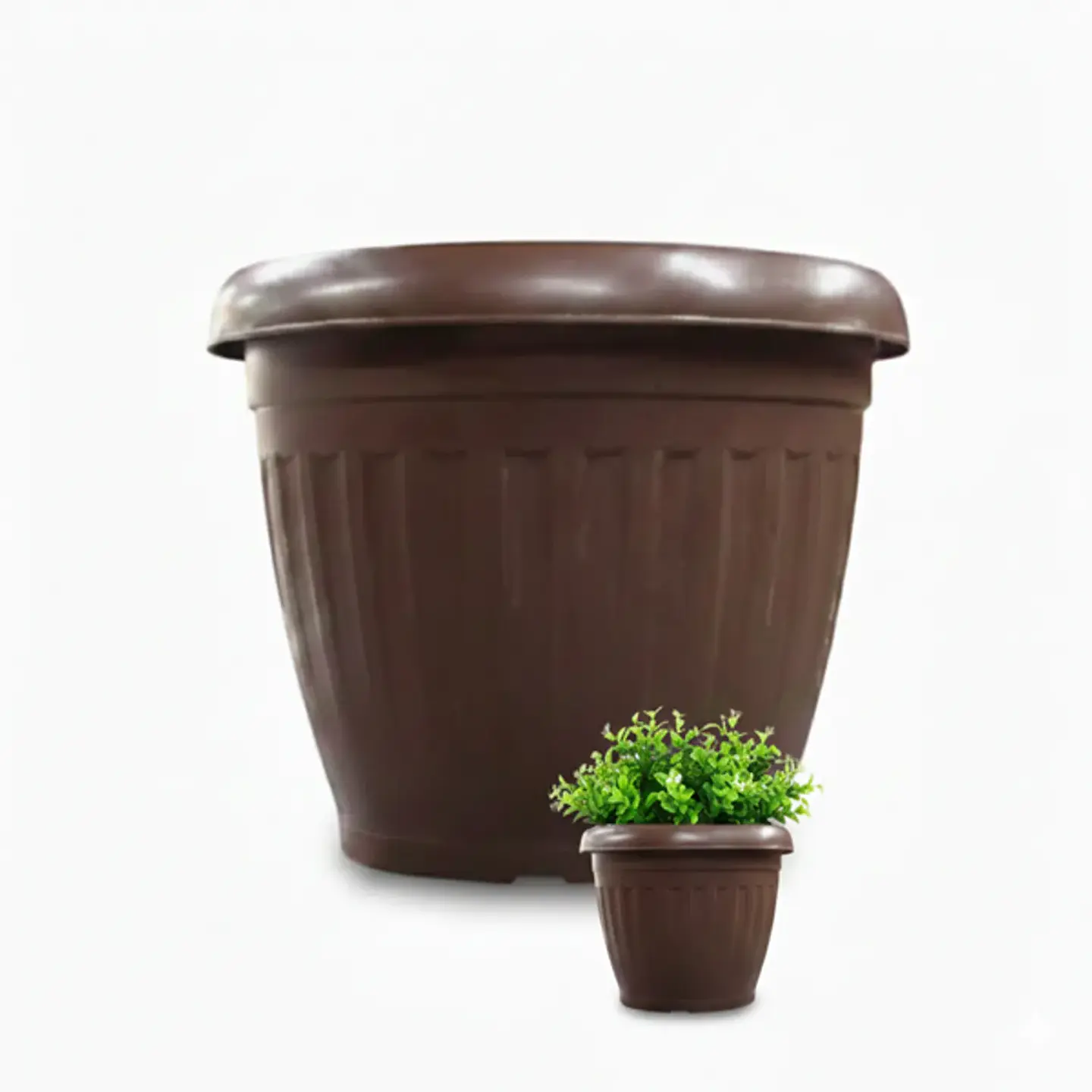 Plantas RV - Macetero Cafe 55*42 cm  1