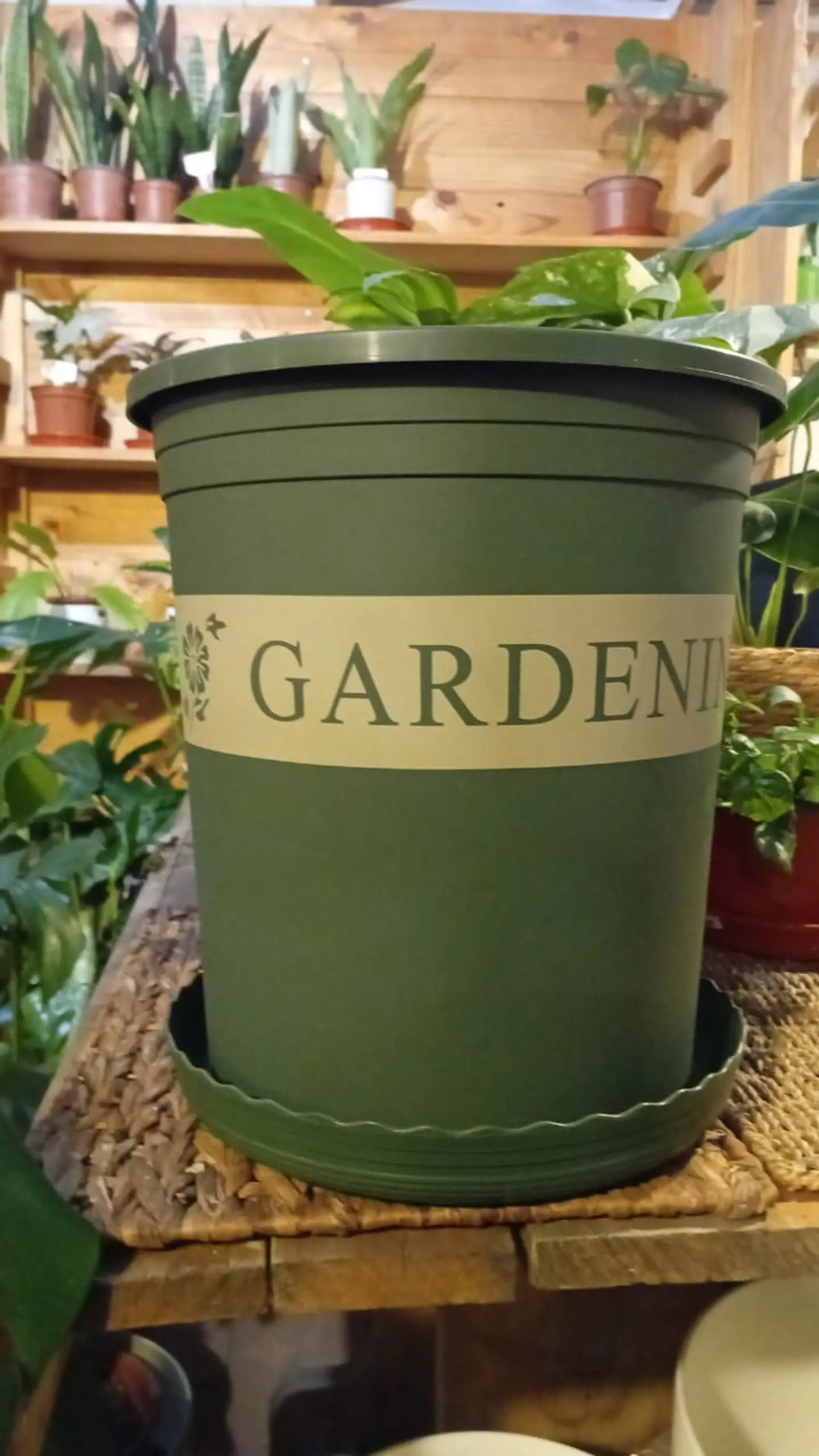 Plantas RV - Macetero Gardening con plato 28*31cm  1
