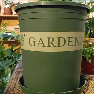 Plantas RV - Macetero Gardening con plato 28*31cm 