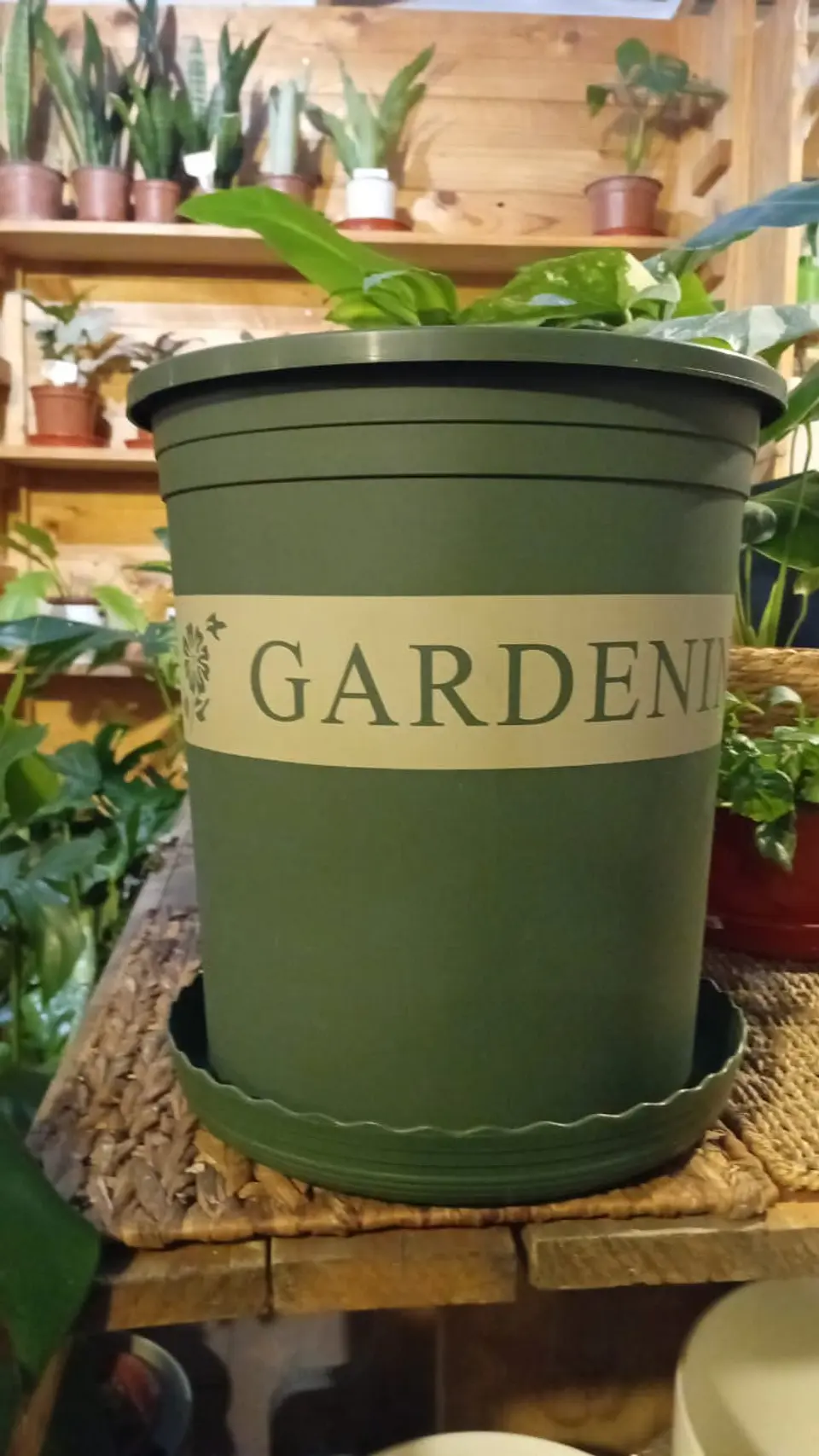 Plantas RV - Macetero Gardening con plato 28*31cm  1