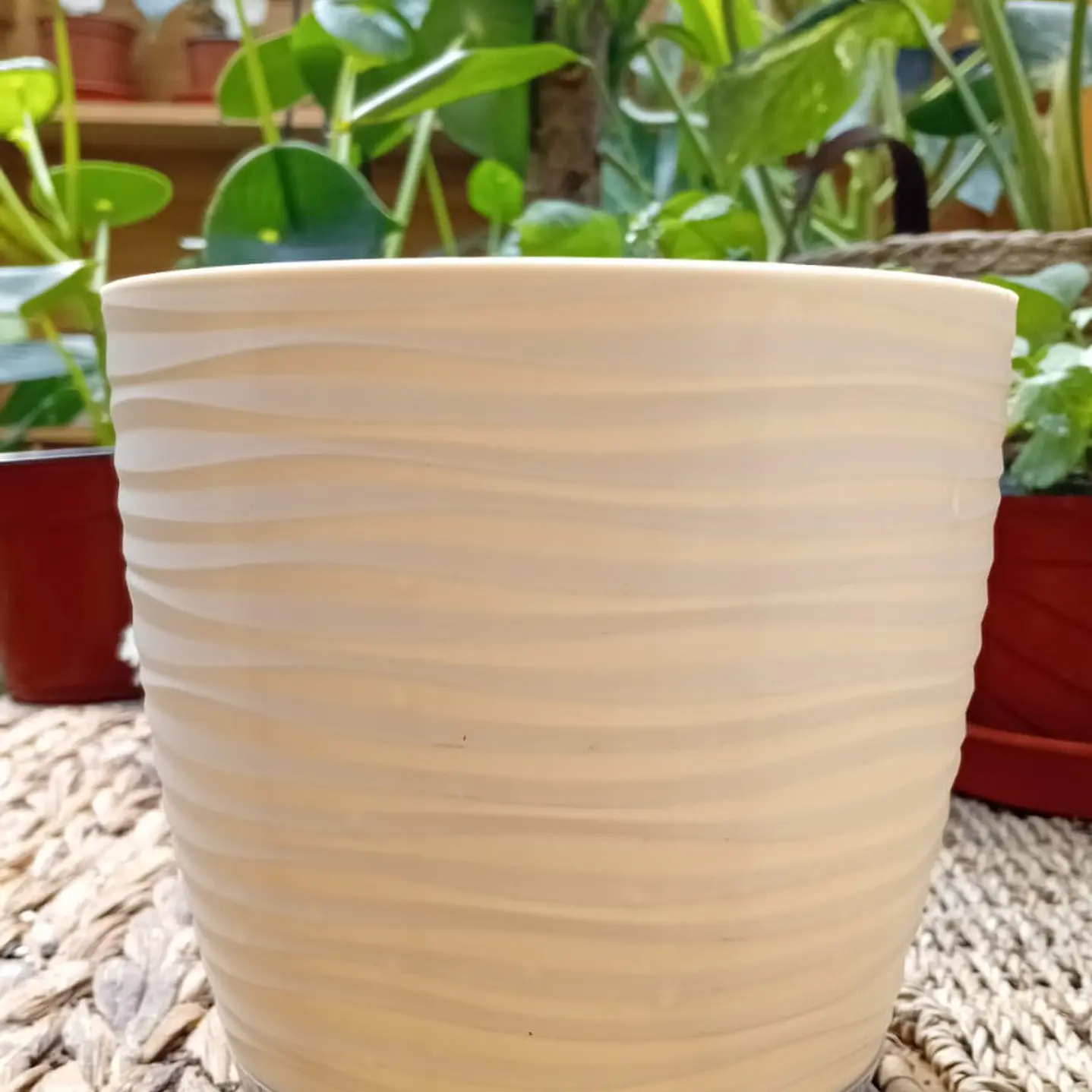 Plantas RV - Macetero Prisma con plato 14*14  1