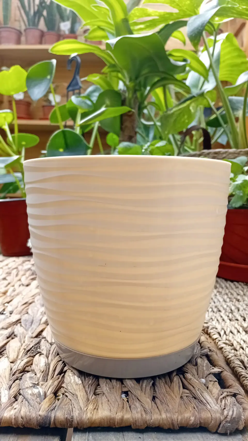Plantas RV - Macetero Prisma con plato 14*14  1