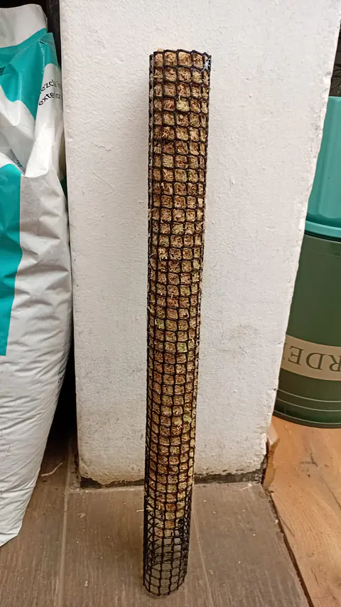 Plantas RV - Tutor de Musgo 50cm 