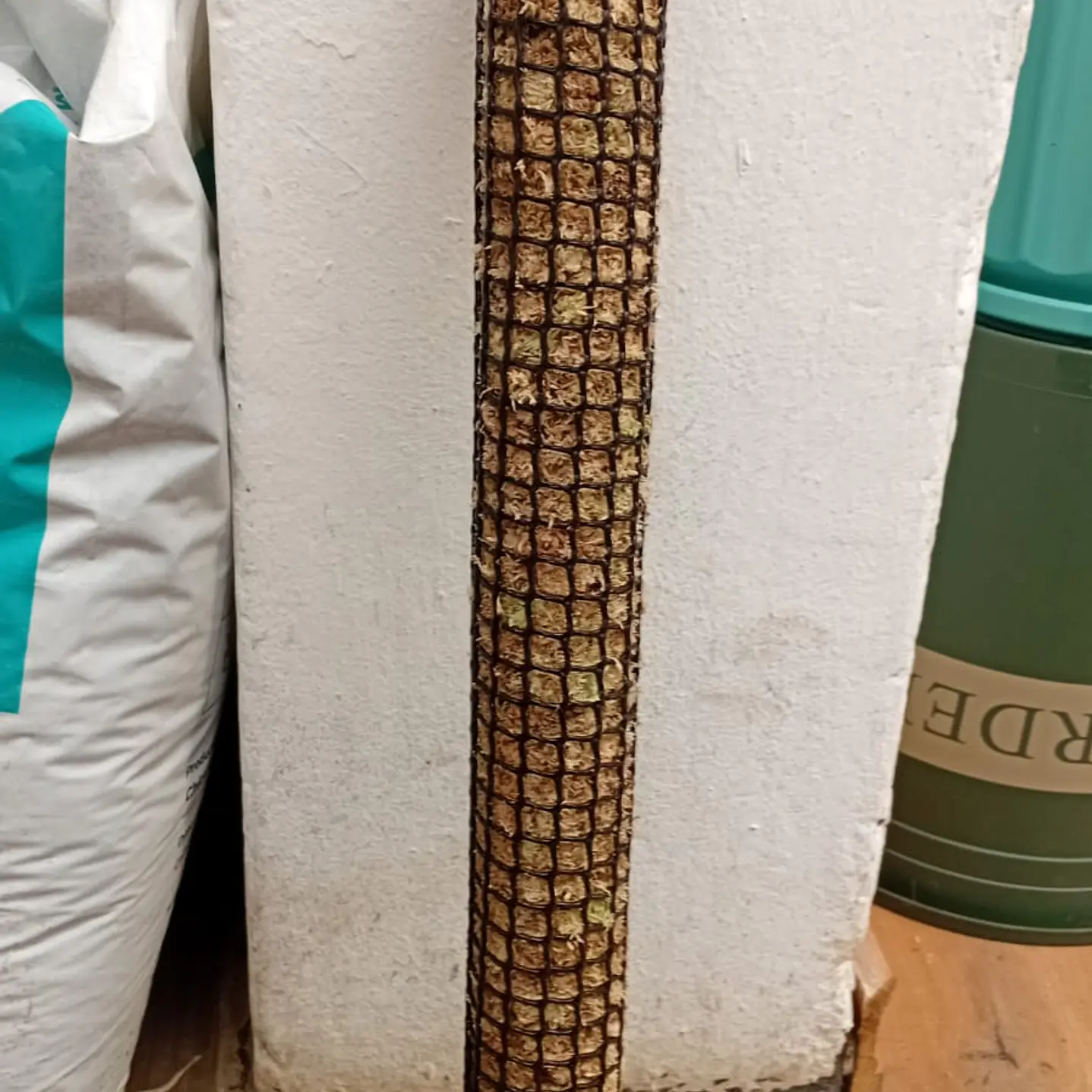 Plantas RV - Tutor de Musgo 50cm  1
