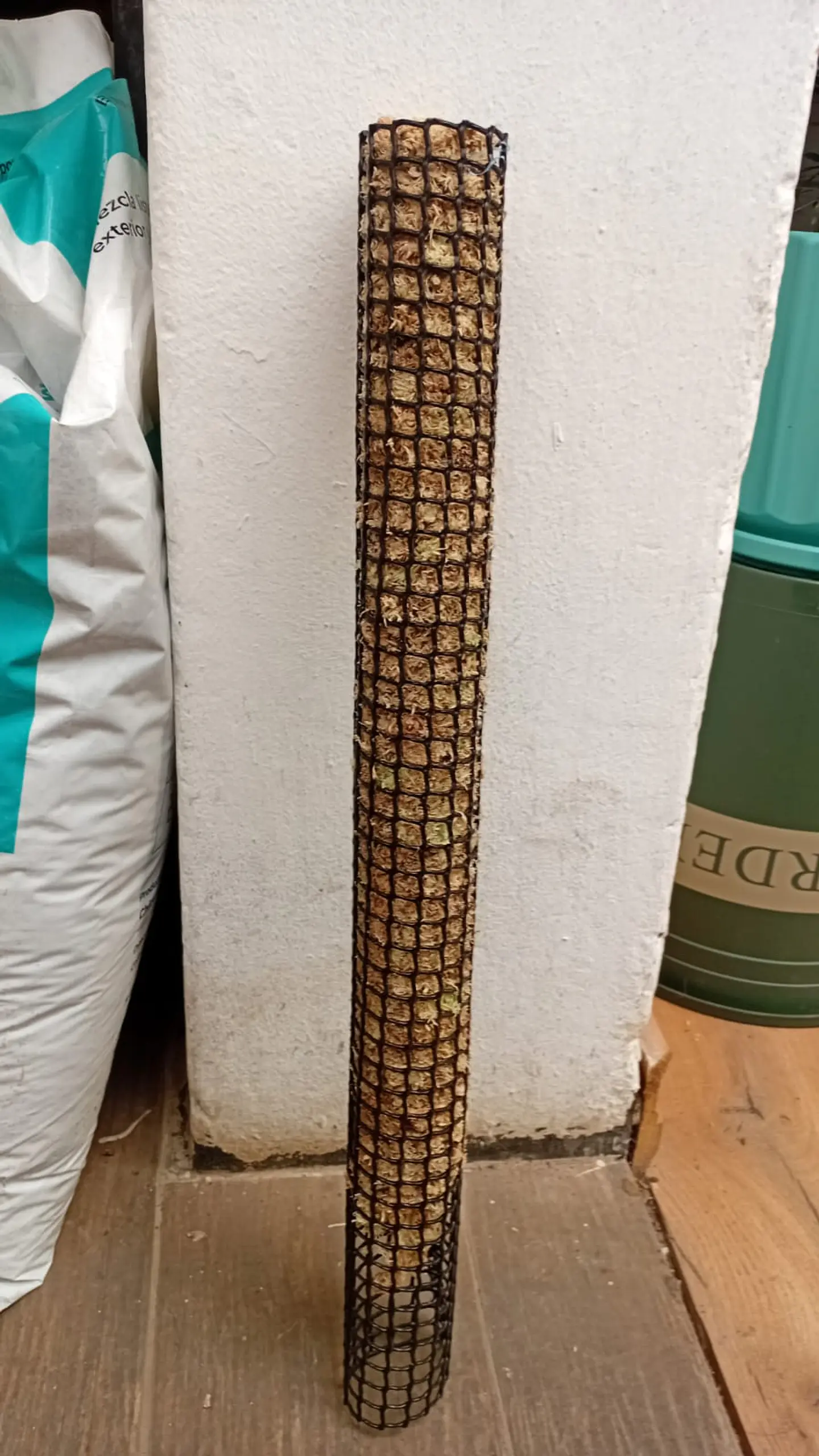 Plantas RV - Tutor de Musgo 50cm  1