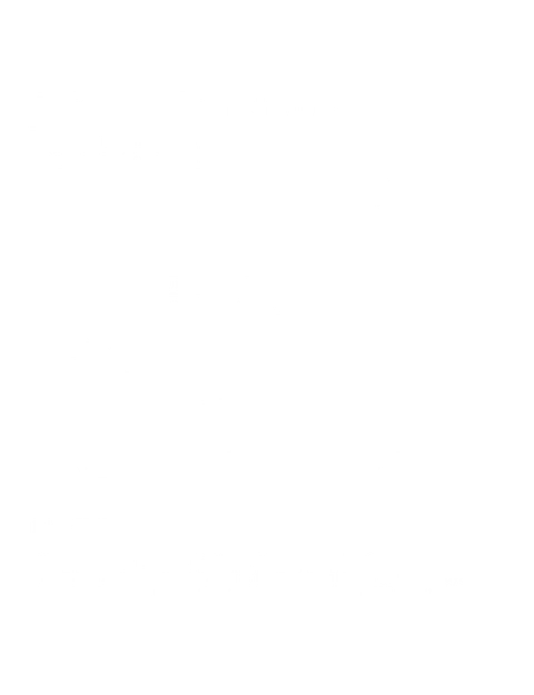 Sattva - Mezcla Pan de Semillas 1000g 