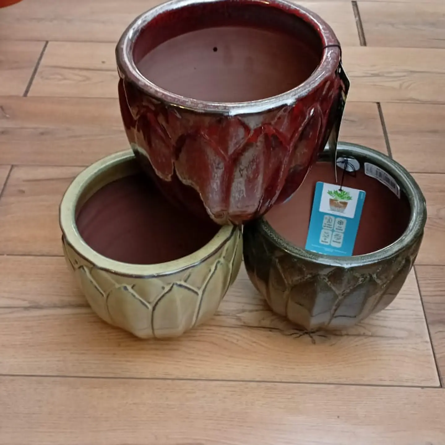 Plantas RV -  Maceta forest 20 cm  1