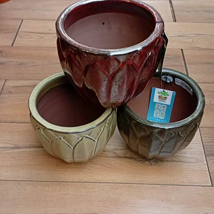 Plantas RV -  Maceta forest 20 cm 