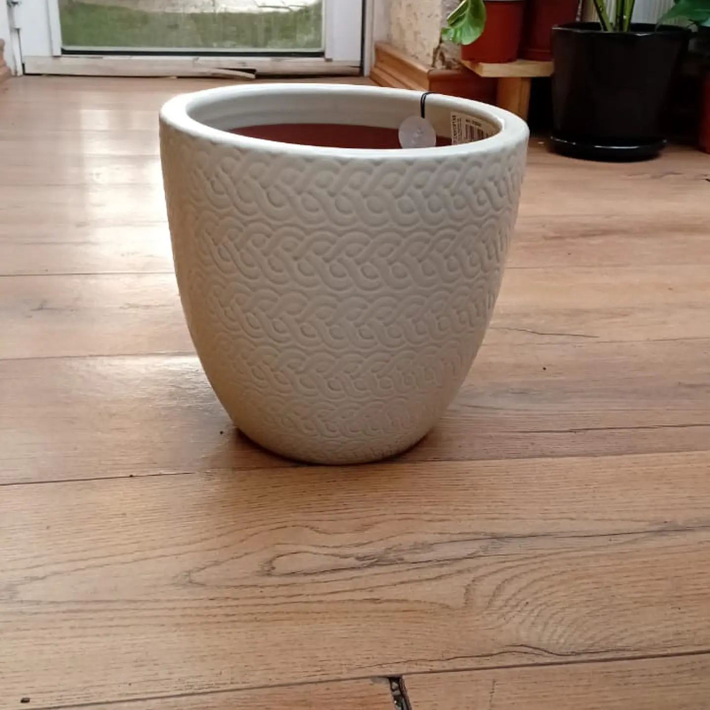 Plantas RV - Maceta wolly blanca arena 22 cm  1