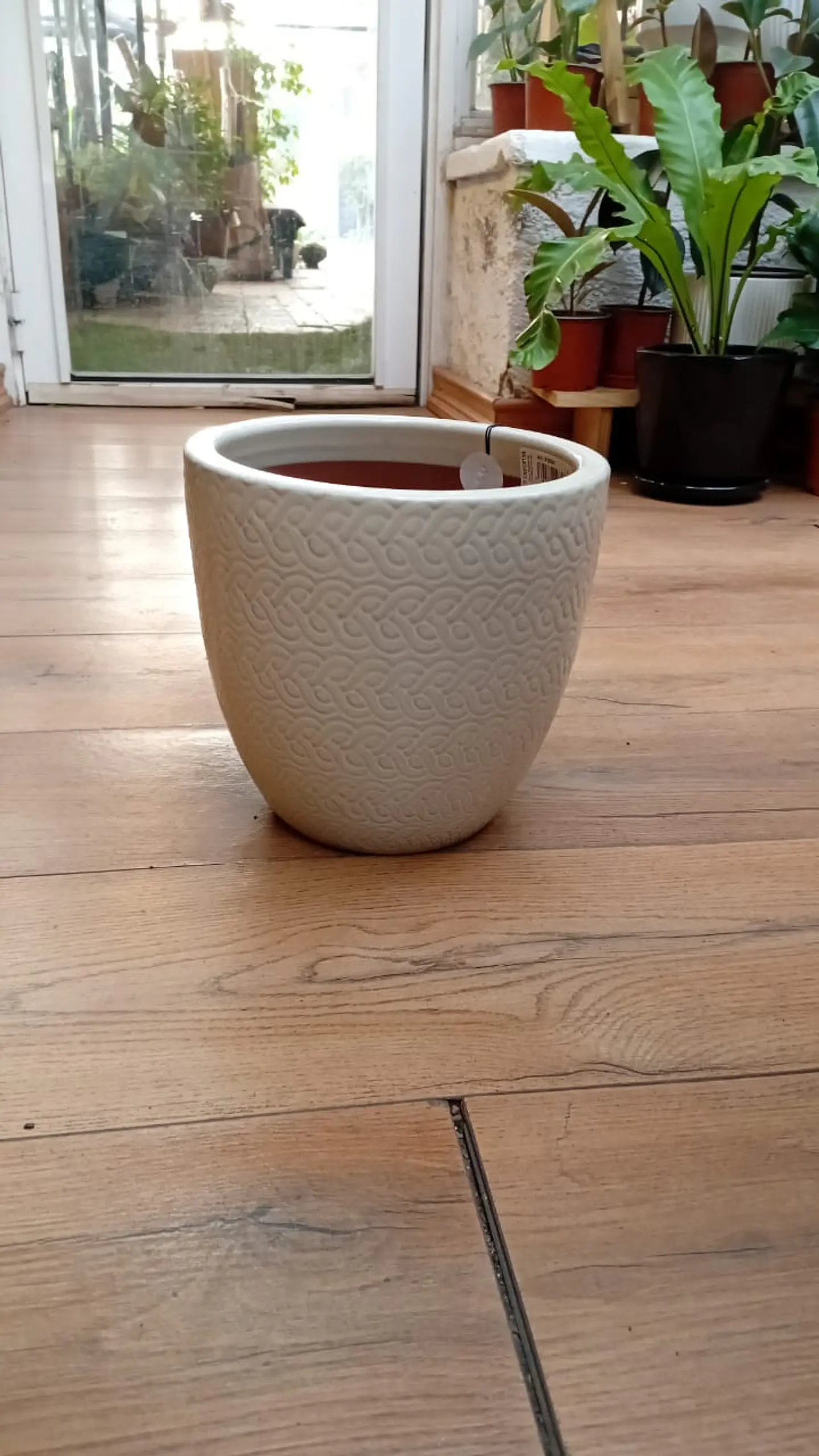Plantas RV - Maceta wolly blanca arena 22 cm  1