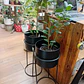 Plantas RV - Porta macetero Pedestal Negro  - thumbnail 2