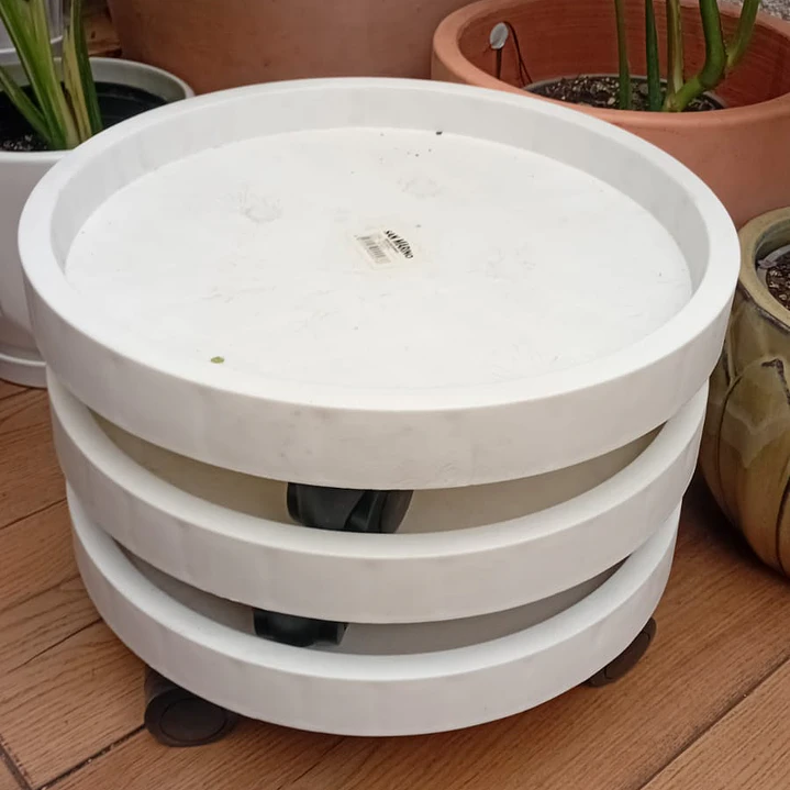 Plantas RV - Plato con ruedas 34cm  1
