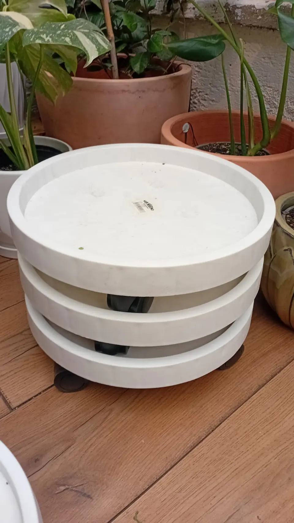 Plantas RV - Plato con ruedas 34cm  1