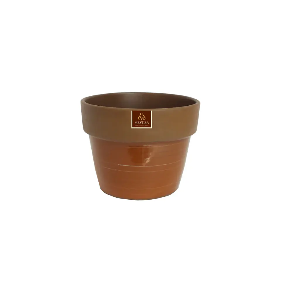 Plantas RV - Maceta Greta morena mamey 15cm  1
