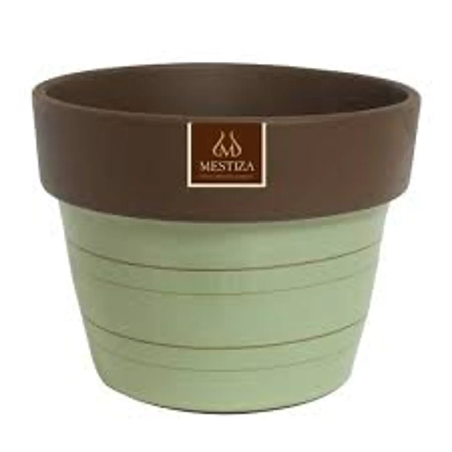 Plantas RV - Maceta Greta morena menta 15cm  1