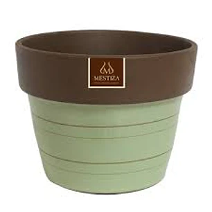 Plantas RV - Maceta Greta morena menta 15cm 