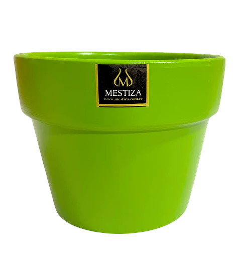 Plantas RV - Greta fiesta apio 15 cm 