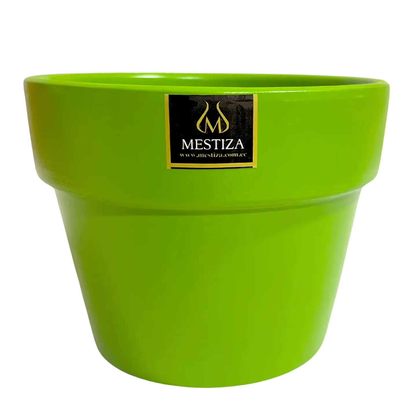 Plantas RV - Greta fiesta apio 15 cm  1