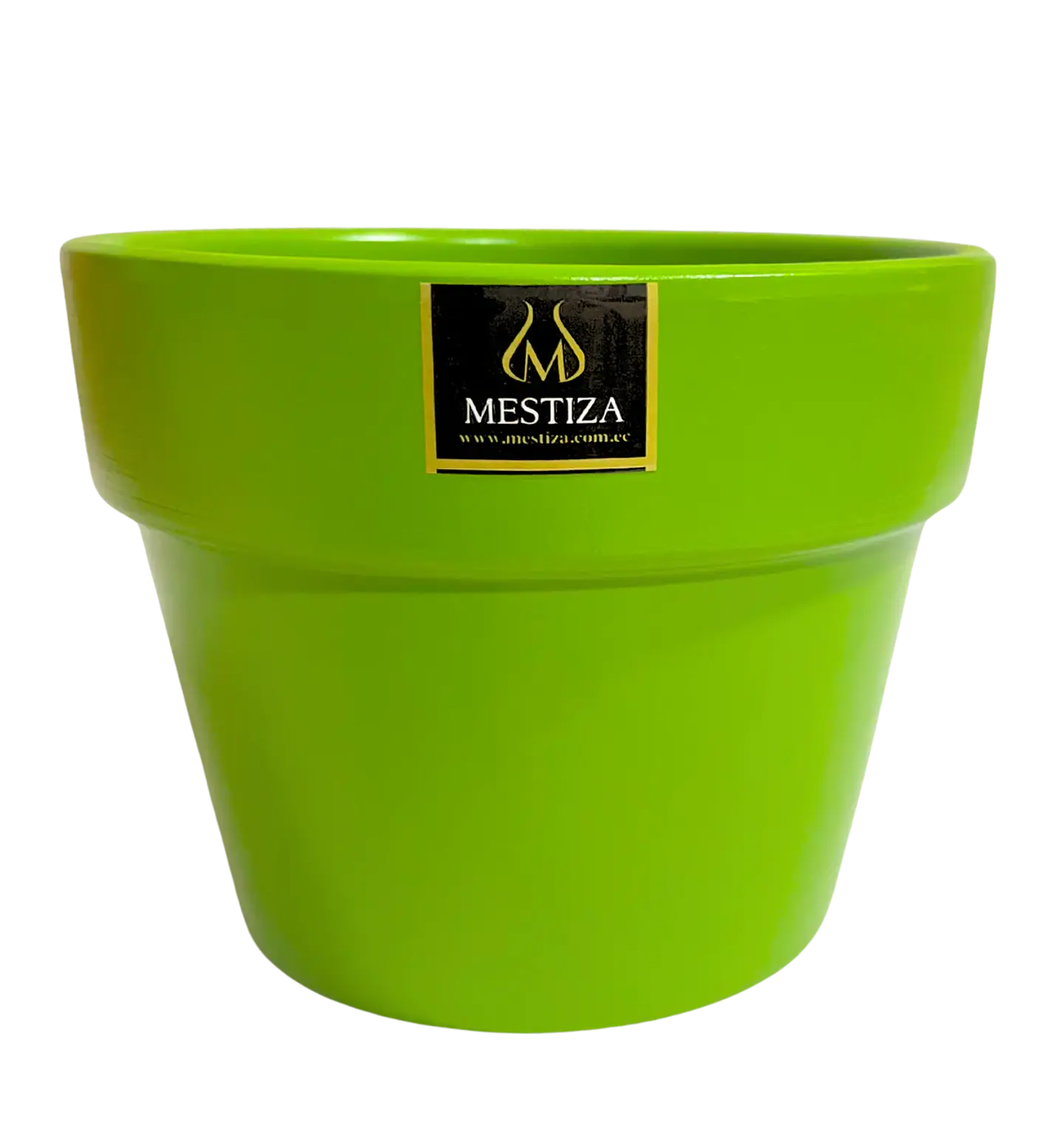 Plantas RV - Greta fiesta apio 15 cm  1