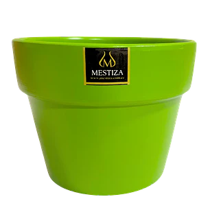Plantas RV - Greta fiesta apio 15 cm 
