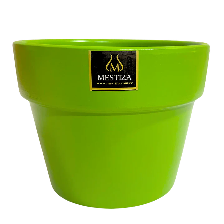Plantas RV - Greta fiesta apio 15 cm  1
