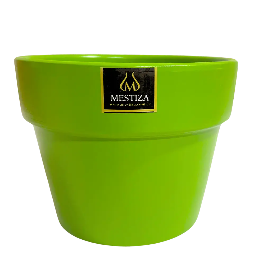 Plantas RV - Greta fiesta apio 15 cm  1