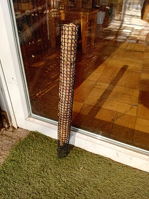Plantas RV - Tutor de Musgo 60 cm 