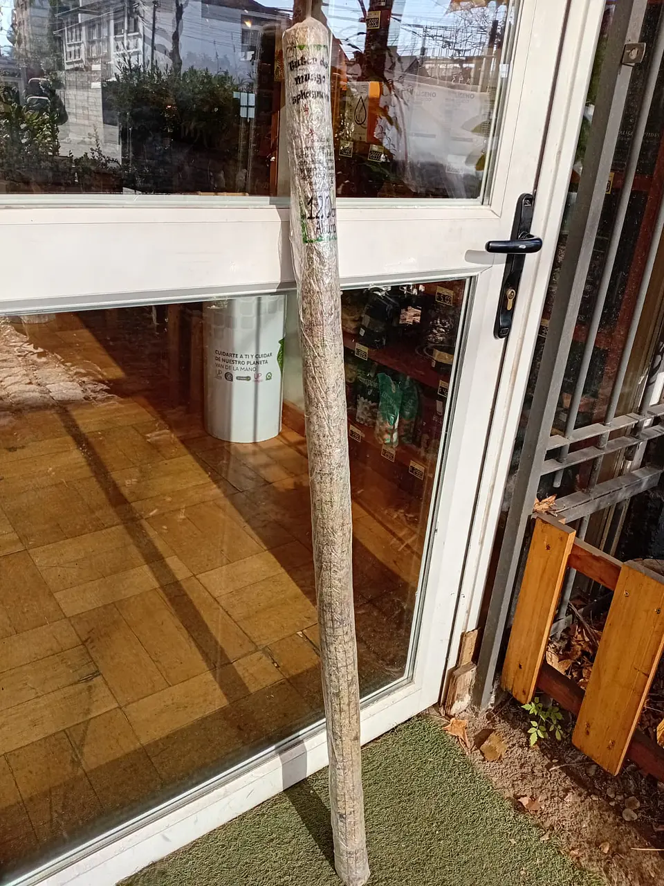Plantas RV - Tutor de musgo 120 cm  1