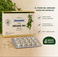 Madre Tierra - Perlas aceite de orégano Oro  30u  - Miniatura 1