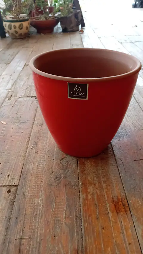 Plantas RV - Maceta Zafiro 24cm 