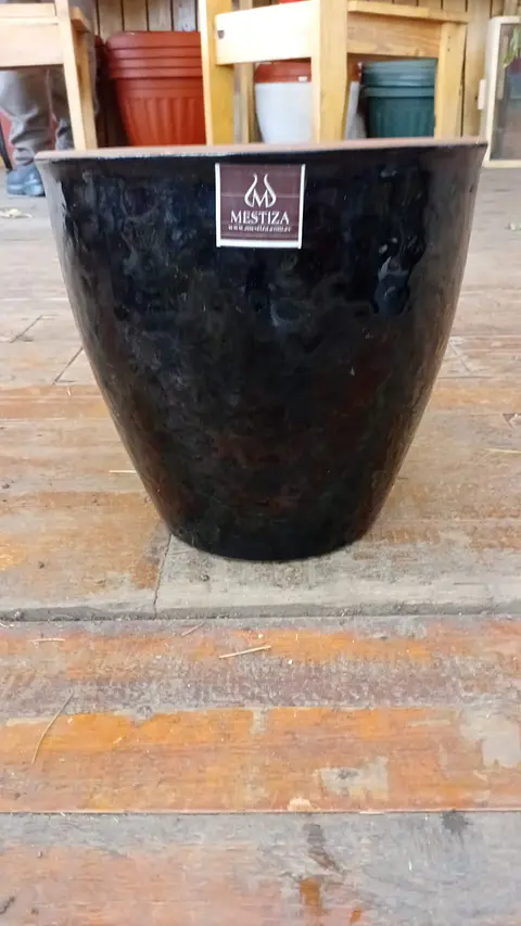 Plantas RV - Maceta Zafiro 24cm 