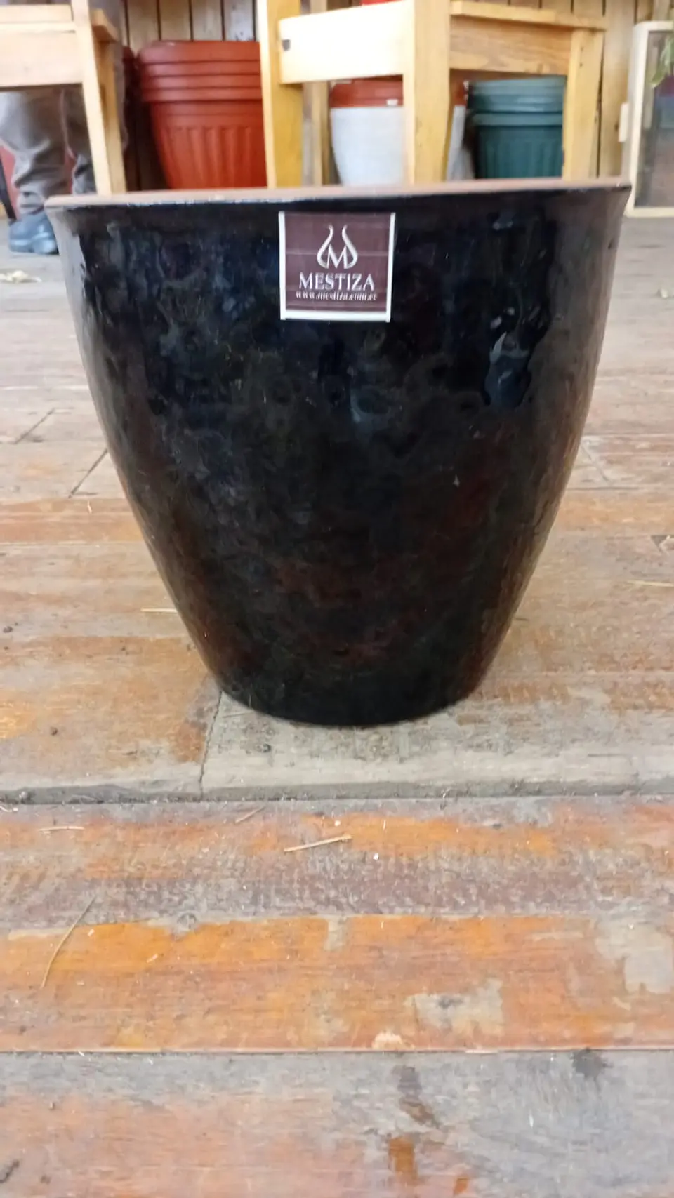 Plantas RV - Maceta Zafiro 24cm  2