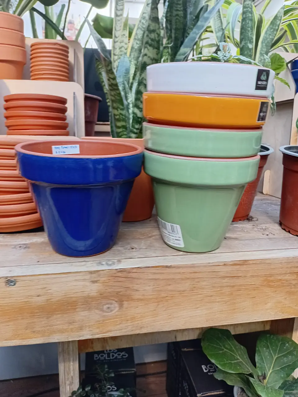 PLANTAS RV -  MACETA KONY ESMALTE 15X13CM  1