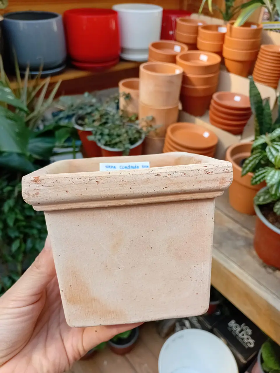 PLANTAS RV - MINI MACETA SIENA CUADRADA 11X10CM  1