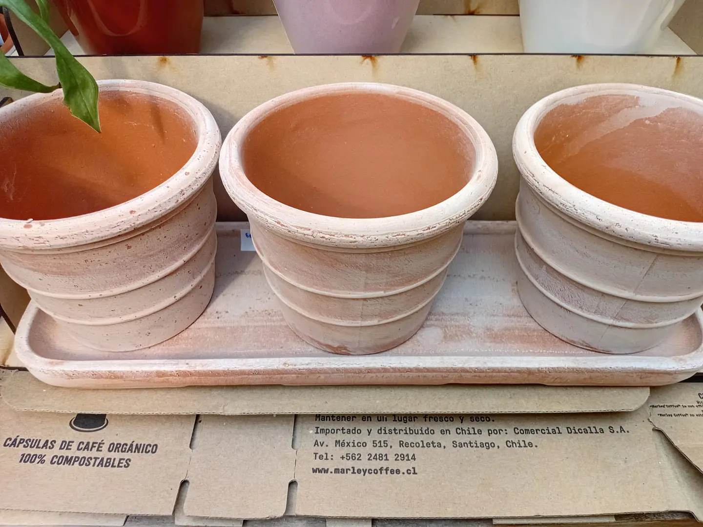 PLANTAS RV - SET 3 MACETAS SIENA CON BANDEJA 11X10CM  1