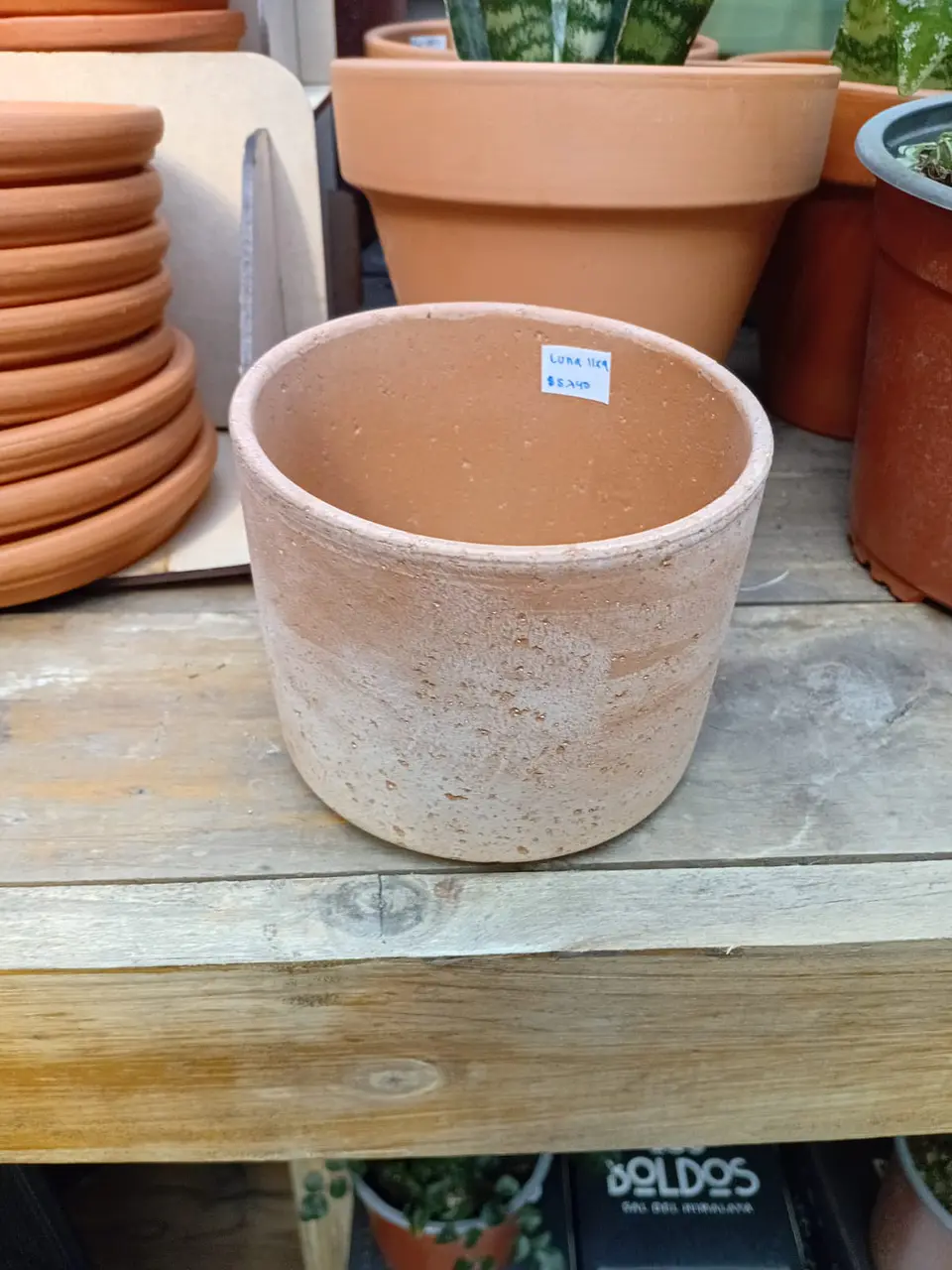 PLANTAS RV - MACETA LUNA TERRACOTA 11X9CM  1