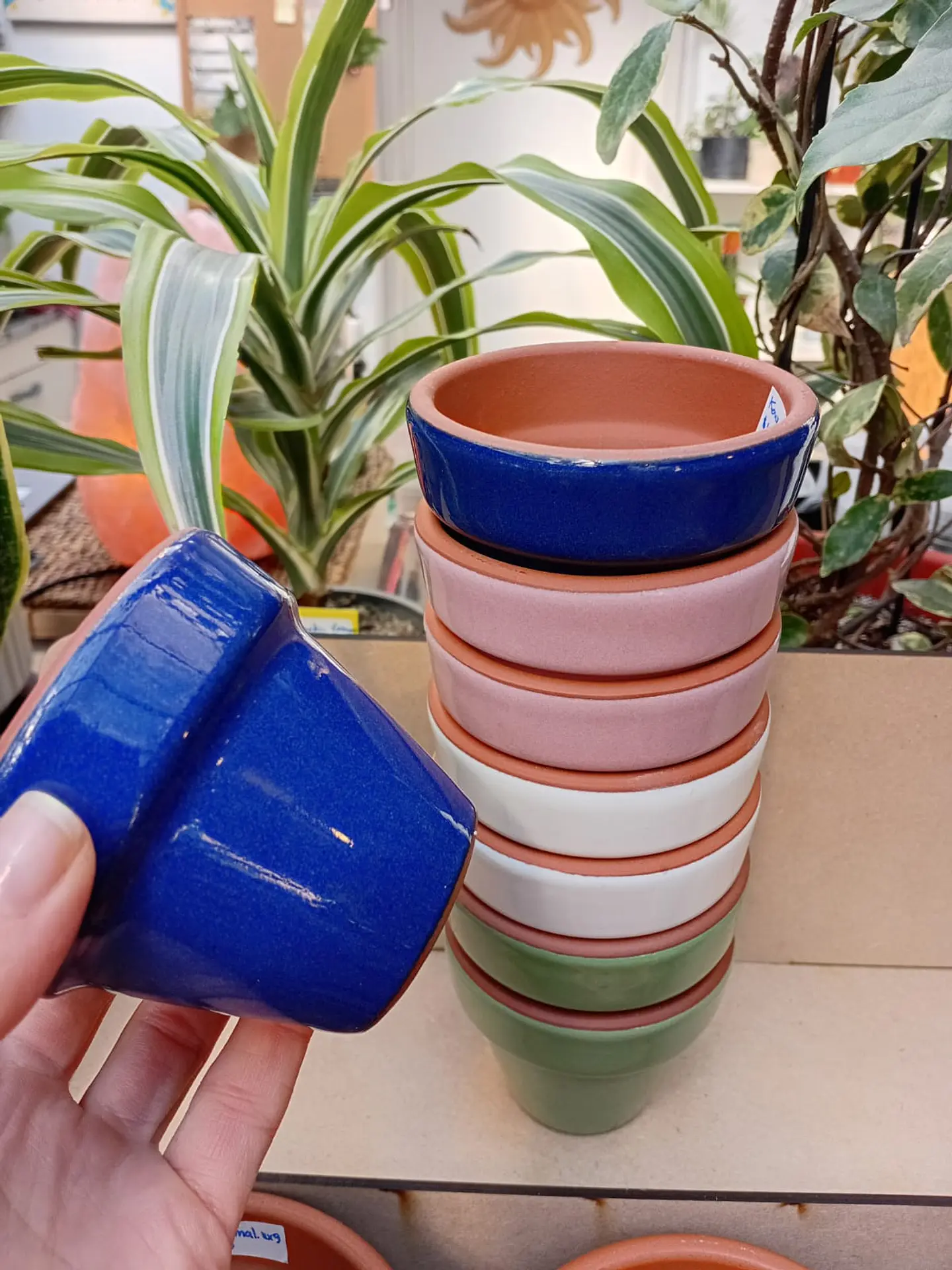 Plantas RV - MACETA KONY ARCILLA ESMALTE CERAMICA 8X7CM  1