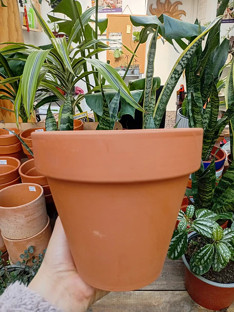 PLANTAS RV - MACETA KONY ARCILLA TERRACOTA 15X13 