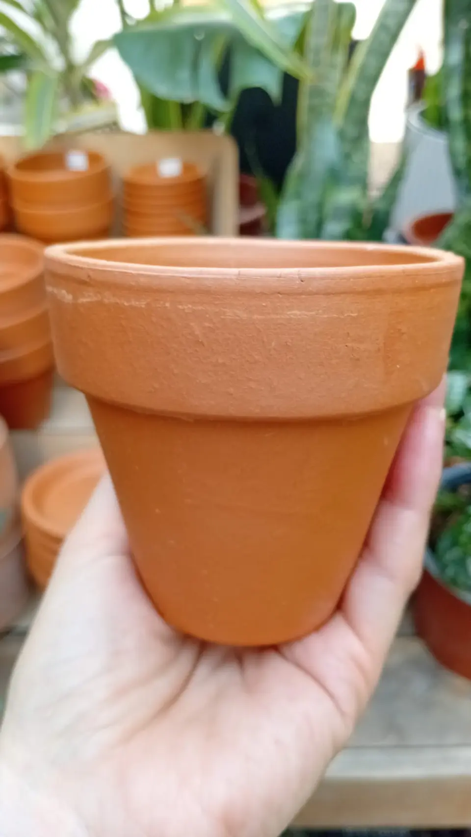 PLANTAS RV - MACETA KONY ARCILLA TERRACOTA 8X7CM  1