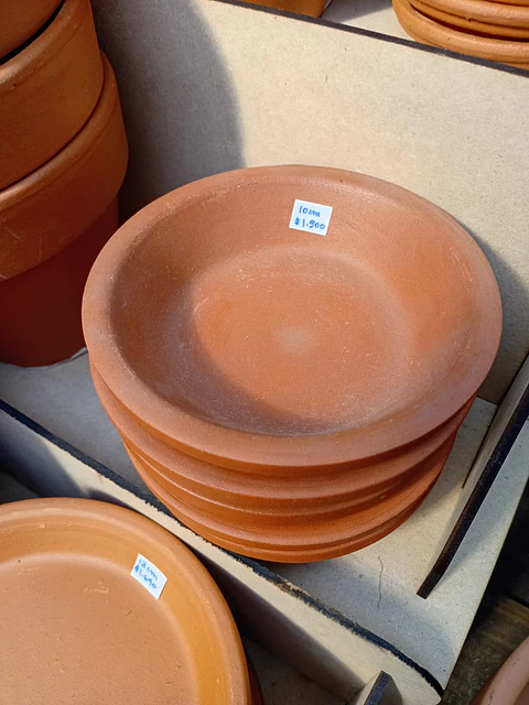 PLANTAS RV - PLATO ARCILLA TERRACOTA 10cm 