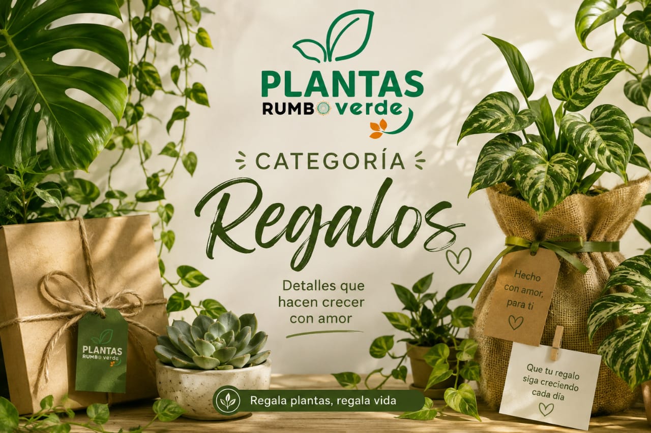 Regalos