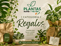 Regalos