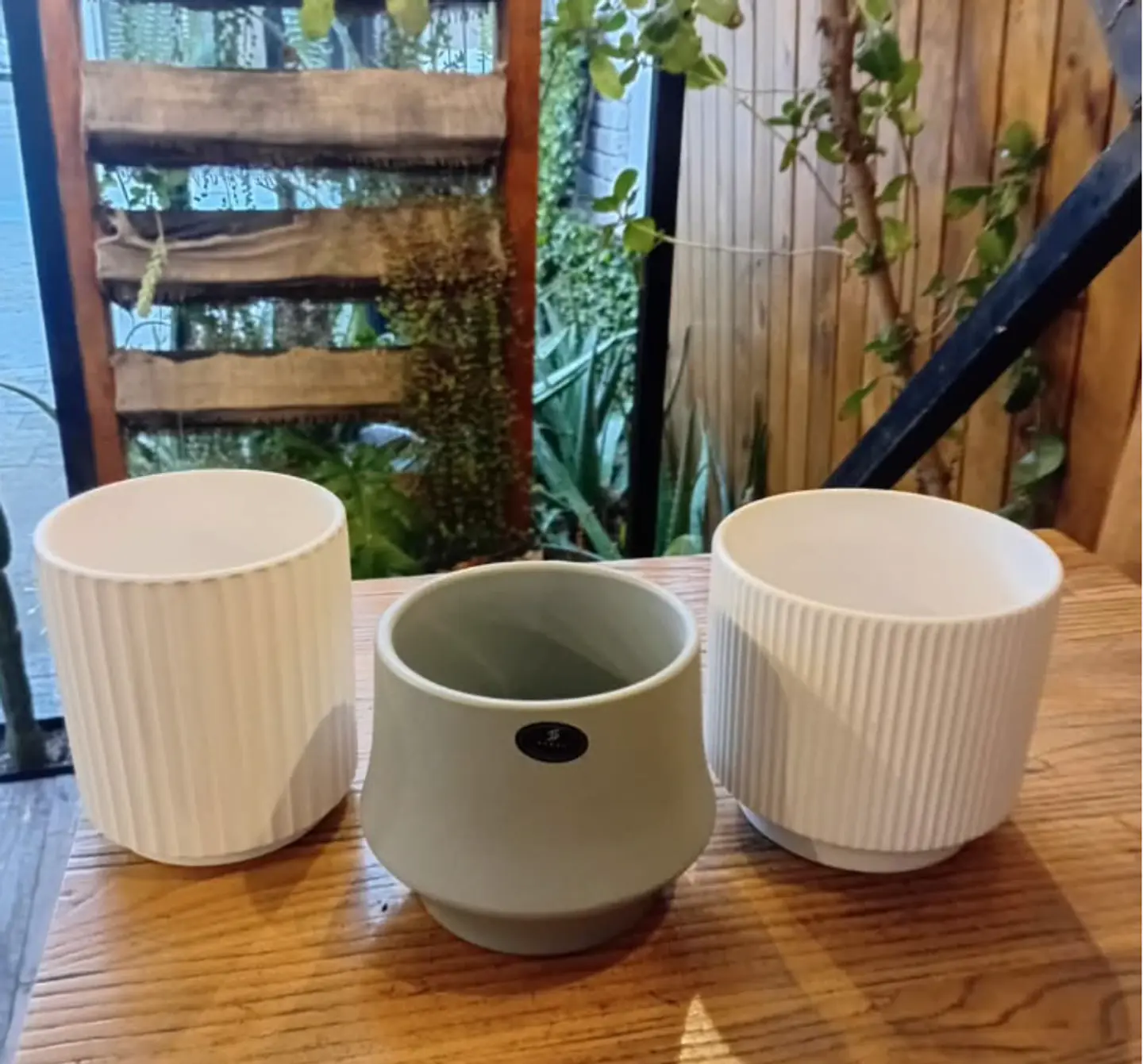 Plantas RV - Porta Maceta Cerámica S  1