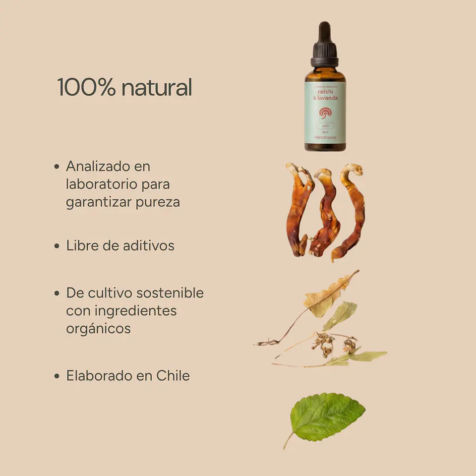Flora & Espora - Zen 50ml 4