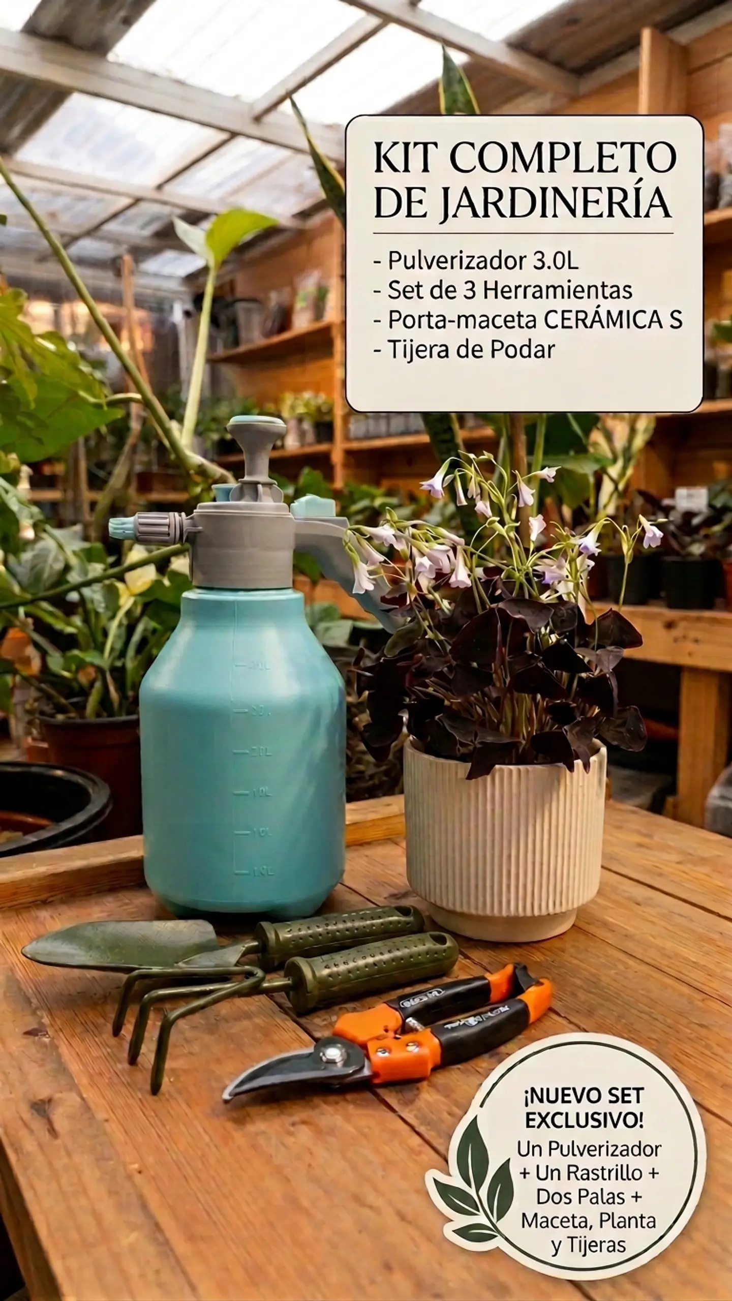 KIT DE JARDINERÍA OXALIS + PORTA MACETA CERAMICA TAMAÑO S 1