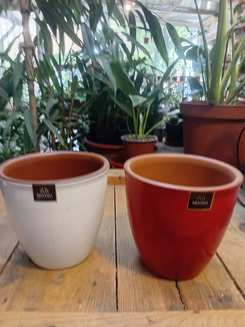 Plantas Rv - Maceta zafiro 14 *13 