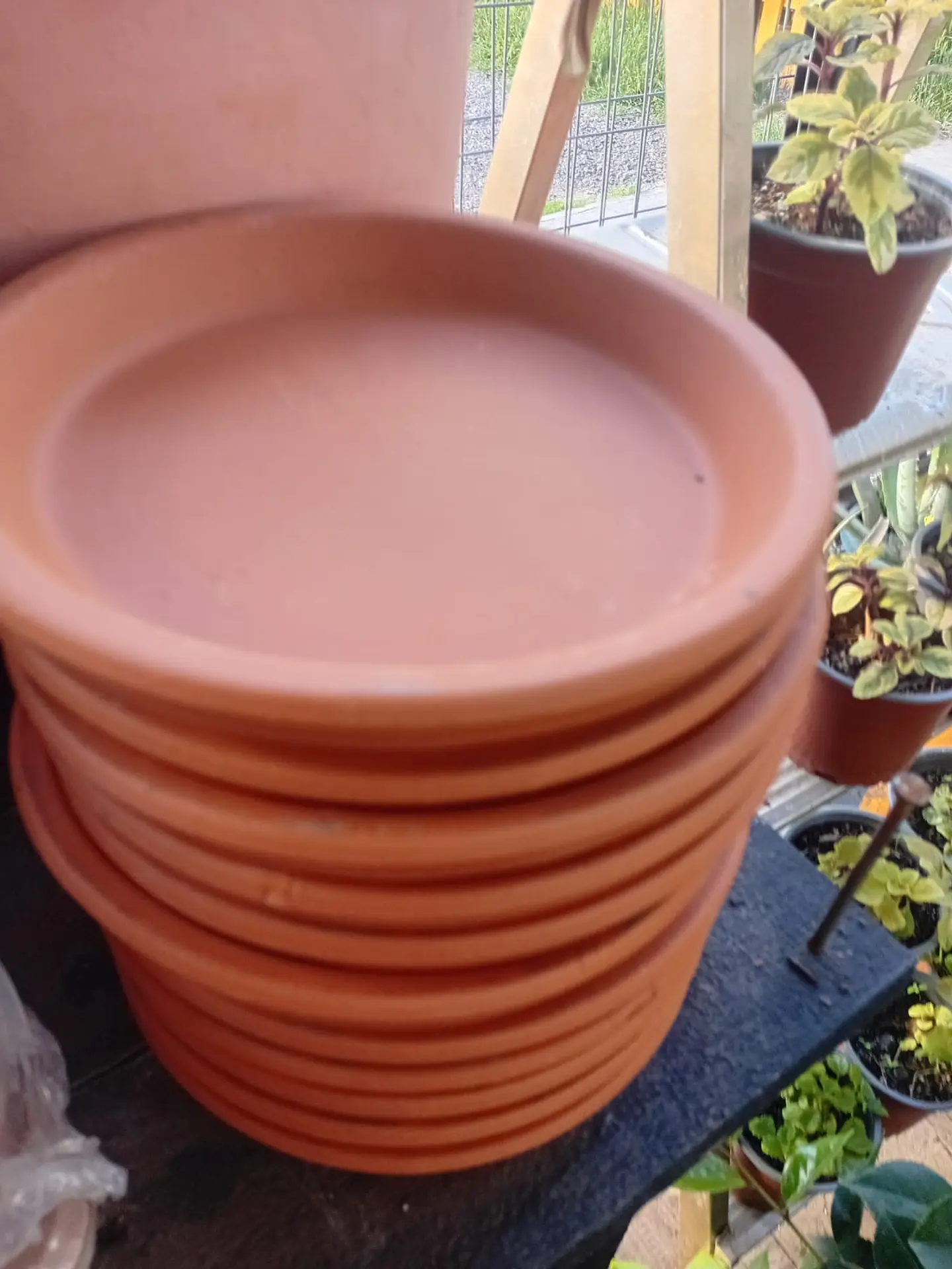 Plantas Rv - Plato terracota arcilla 17 cm diametro  1